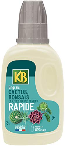 Engrais cactus et plantes grasses KB 250ml - 2