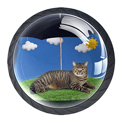 Boutons de meuble chat poignées de tiroir chat en finition haut de gamme - 3