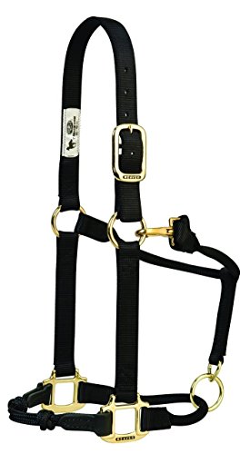 HYBRIDHalter Adjustable Horse Halters