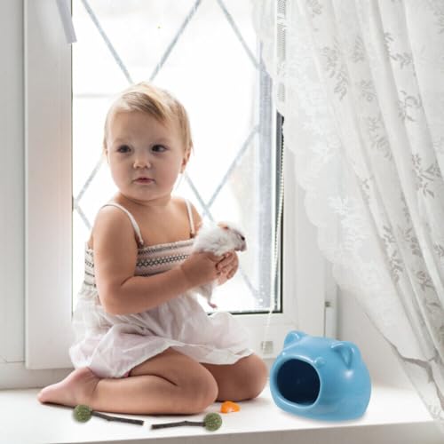 Image of cature Care by Nature Natural Cat Catnip Treat Balls,Pet Catnip Toys,Interactive Kitten Toys,Cats Playing,Cleaning Teeth,Chew Toy For Cat Toy.