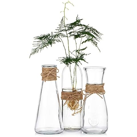 Sziqiqi 3 Piezas Floreros de Vidrio Transparente con Cuerda Cover