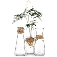 Sziqiqi 3 Piezas Floreros de Vidrio Transparente con Cuerda, Centro de Mesa de Florero para Recepción Nupcial Decoración de la Mesa de la Fiesta de Bienvenida al Bebé, 3 Piezas