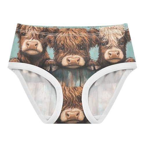 Toddler Underwear Custom 2t Cotton Little Girl Panties Artistic Briefs Underpants Cute Highland Cows Wooden