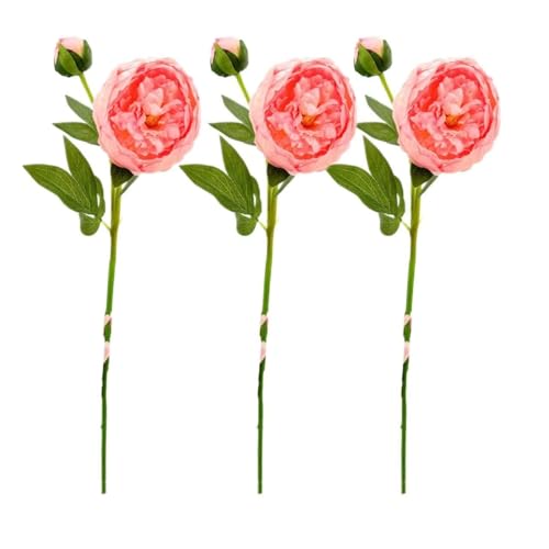 Bouquet de fleurs séchées exotiques pivoine artificielle rose de table