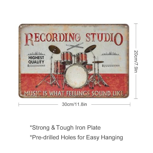 Cadeau pour batteur plaque en étain rétro pour mur d'artiste - 2