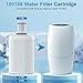 100186 Water Filter, Compatible with Amway Espring Cartridge，High Efficiency Filtration, Retains Calcium and Magnesium Beneficial Minerals. Lasting 1 Year or 5000L