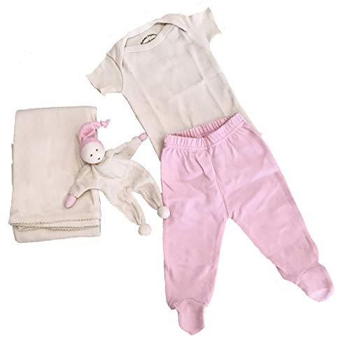 Organic Cotton Blanket, Tee, Footed Pant 0-3 Month, and Free Jester Toy