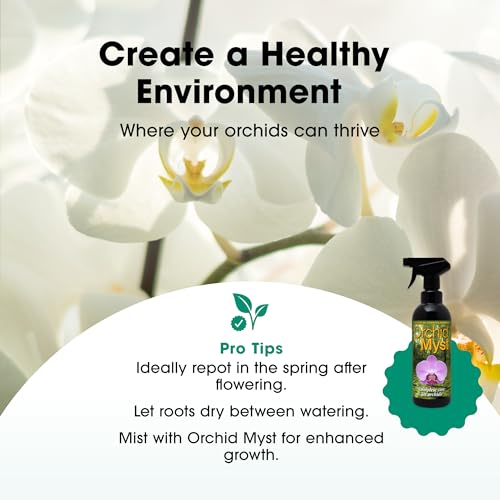 Orchid Focus Repotting Mix, 3L - Growth Technology Orchid Potting Mix for Orchid Plants - Peat-Free Orchid Potting Mix - Orchid Compost For Repotting Pants - Professional Grade Orchid Bark - Image 5