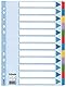 Leitz Esselte Register für A4, Deckblatt und 12 Trennblätter mit Taben, Blau/Mehrfarbig, Recyclingkarton, 100169