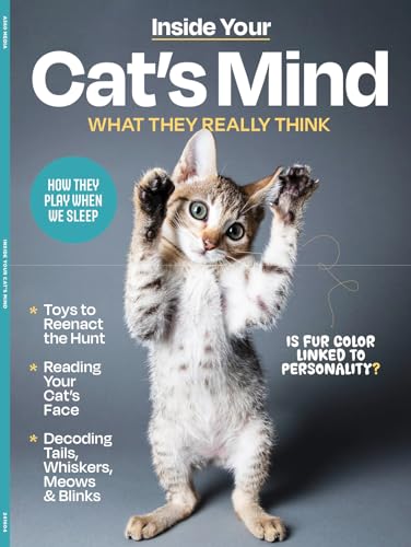 Inside Your Cat's Mind - Reading Cat's Face, Decoding Tails,