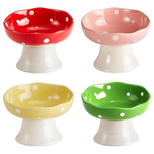Ergonomic Elevated Cat Bowls Set