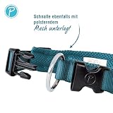 Petlando Mesh Hundehalsband – leicht, atmungsaktiv, weich mit Mesh gepolstert, stufenlos verstellbar, robust & strapazierfähig mit O-Ring – Halsband Hund S 40-45cm, Petrol