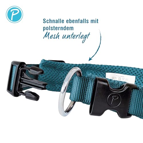 Petlando Mesh Hundehalsband – leicht, atmungsaktiv, weich mit Mesh gepolstert, stufenlos verstellbar, robust & strapazierfähig mit O-Ring – Halsband Hund S 40-45cm, Petrol
