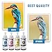 QUALITAT 664 Ink Refill Bottles All 4 Colors + 4 Gloves + Ink Storage Box | Compatible 664 Ink for Printers ET 2550 Ink Refill, ET-2650, ET-2600, ET-2500 (Black, Cyan, Magenta, Yellow) | Ink 664