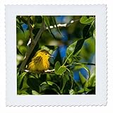 Square dimensions (in inches): 6 L x 6 W, image dimensions (in inches): 4 L x 4 W 100% poloyester; image is soft to touch. Made in USA Edges have pinking shear cut Image will not fade with washing. Image not a transfer, part of material