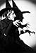 Posters Forever - Wicked Witch of The West Poster, The Wizard of Oz - Art Print