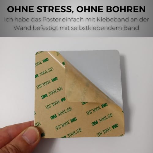 LEIASA | Selbstklebendes Hunde Verboten Schild - 10x10 cm - 0,8 mm Dicke - Aluminium - Kein Hund Schild - Verbotsschild Haustiere - Türschild Tiere Nicht Erlaubt (Hundeverbot Schild)