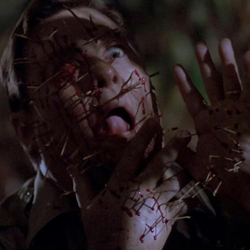 Night of the Scarecrow (1995)