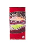 ✅ Innenaufnahme der Allianz Arena