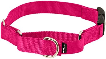PetSafe Martingale Collar with Quick Snap Buckle, 3/4" Small, Raspberry