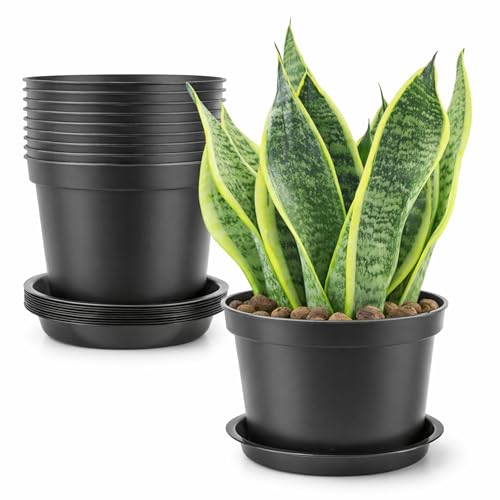 10 Pack 5 Inch Plant Pots with Saucers, Plastic Flower Pots for Indoor