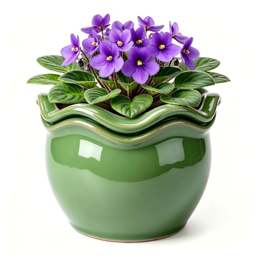 krayce Serenya Self-Watering Ceramic Pot for African Violet Indoor Plants