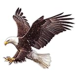 Bald Eagle Vinyl Sticker - in Action Landing Catch Prey Brown Bird Decal for Car Window Stickers (12' x 12')