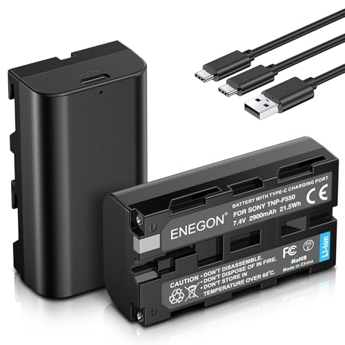 ENEGON NP-F550 Type C Charging Port Battery(2 * 2900mAh) for Sony NP-F970 NP-F750 NP-F770 NP-F960 NP-F550 NP-F530 NP-F570 CCD-SC55 TR516 TR716 TR818 TR910 TR917 CN160, CN-216 LED Light & More