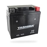 Greenstar Tashima   FTZ7S   Batterie Moto 12 V, lead acid agm, Pour Scooter ( L'emballage peut varier), Noir