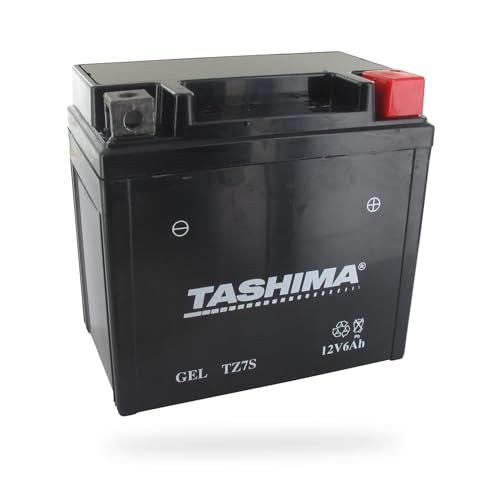 Greenstar Tashima - FTZ7S - Batterie Moto 12 V, lead acid agm, Pour Scooter ( L'emballage peut varier), Noir