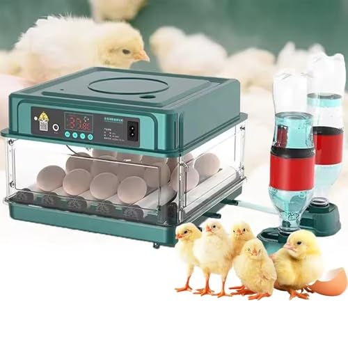 NEWFUN Brutmaschine, Brutautomat Vollautomatisch, Temperaturgeregelte, Vollautomatische Brutmaschine mit Automatischer Eierwendung und Befeuchtung für Eier, Wachteleier und Enteneier (12-15 Eier)