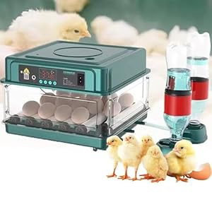 NEWFUN Incubatrice per uova Automat...
