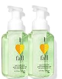 Bath & Body Works Bath and Body Works Sunlight & Apple Tree Gentle Foaming Hand Soap 8.75 Ounce 2-Pa