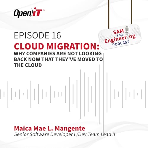 Cloud Migration: Why Companies are Not Looking Back Now That They've Moved to the Cloud