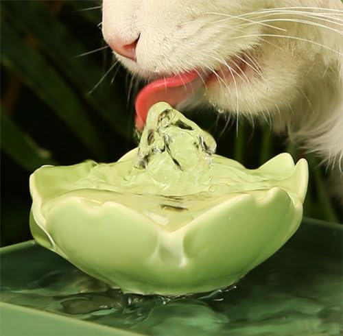 Fuente de Agua Automática para Mascotas con Filtro 1.5L miniatura 7