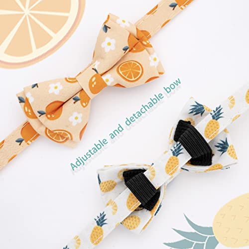 Faygarsle 2 Pack Cute Cat Collar With Bell Breakaway Bowtie Cat Collar For Male Female Cats Soft Fancy Orange Yellow Cat Collar Pineapple Orange Pattern Summer Cat Collar For Boy Girl Cats #TOP2