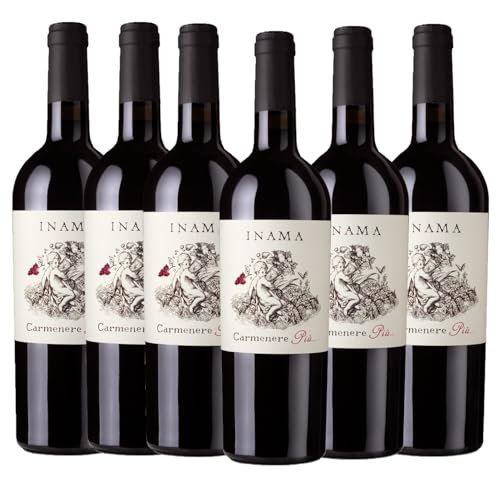 INAMA CARMENERE PIU' COLLI BERICI ROTWEIN TROCKEN [ 6 Flaschen x 750mℓ ]