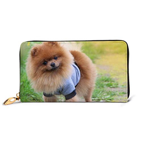 Preisvergleich Produktbild JHGFG Mode Handtasche Reißverschluss Brieftasche Pomeranian Dog On Countryside Road Schöne Telefonkupplung Geldbörse Abendkupplung Blocking Leder Brieftasche Multi Card Org