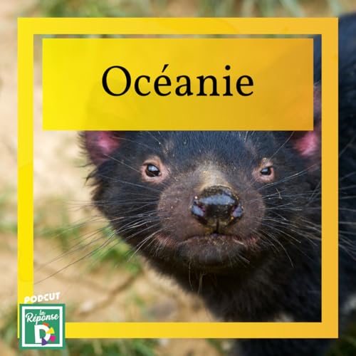 Oc&eacute;anie - Quel animal au cri terrifiant, disparu du continent australien, ne survit plus que sur une &icirc;le ?