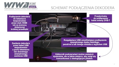 Wiwa H.265 Mini TV Tuner