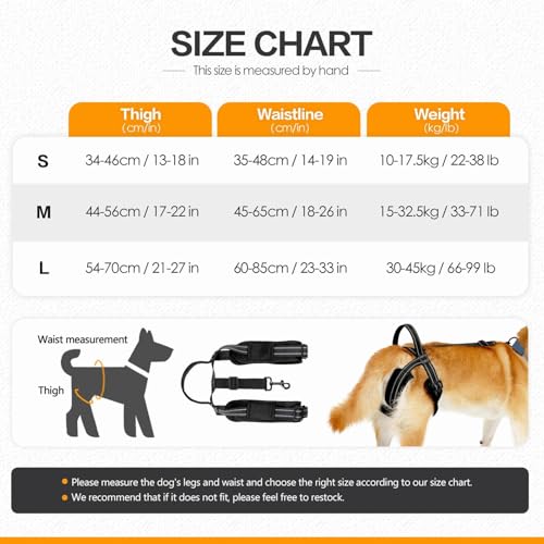 Hebegeschirr für Hunde – Hundegeschirr mit Hüftstütze mit reflektierenden Streifen | Bequemes Geschirr für leichte Weste | faltbares Design mit weichem Futter für Salg – Bild 3