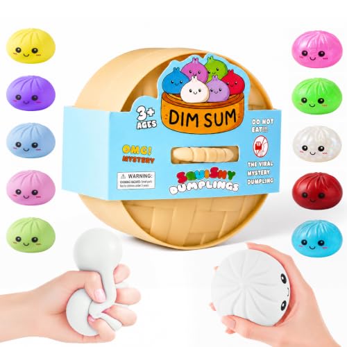 Image of Dumpling Squishies, Dumpling Mystery Box, Colorful Dumplings Stress Balls Fidget Sensory Toy, Stocking Stuffers with Food Steamer Stretchy Desk Toys (White)