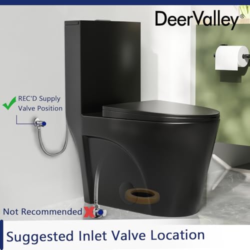 DeerValley Elongated One-Piece Toilet, 17\" ADA Comfort Height, Dual Flush 1.1/1.6 GPF, 10\" Rough-In, Includes Soft Close Seat, Black Finish
