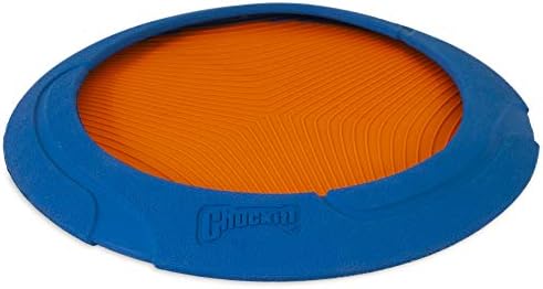 Chuckit! Ultra Flight Dog Fetch Toy - 4