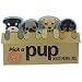 Pick a Pup Memo Tabbie