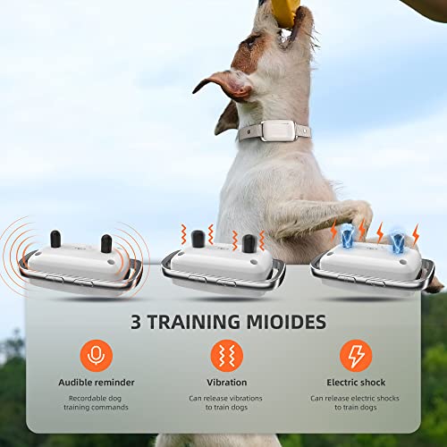 Dog Shock Collar, Electric Dog Training Collar With Remote Waterproof Rechargeable E-Collar For Dogs With 16 Levels Beep Vibration Shock Or Recording Function #TOP1