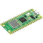 Raspberry Pi – Raspberry Pi Pico W, (SC0918)