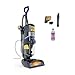 Shark CarpetXpert HairPro Upright Built-in Spot, Area Rug &amp; Upholstery Cleaner, Perfect for Pets, Deep Cleaning, Tough Stain &amp; Odor Remover, Hair Pickup, Carpet Shampooer, EX251BRN, Cobalt Metallic