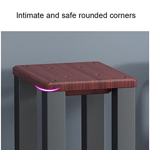 Supports d'enceintes contre les vibrations pour un son net