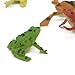 Kvvdi 12 Pcs 1.4 Inch Small Colorful Plastic Poison Dart Frogs Rainforest Animals Frog Toys